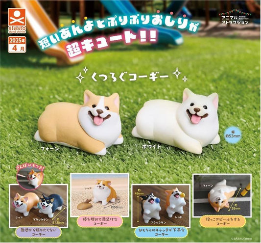 Précommande : GASHAPON - Corgi (Lot de 40 Capsule 58mm)
