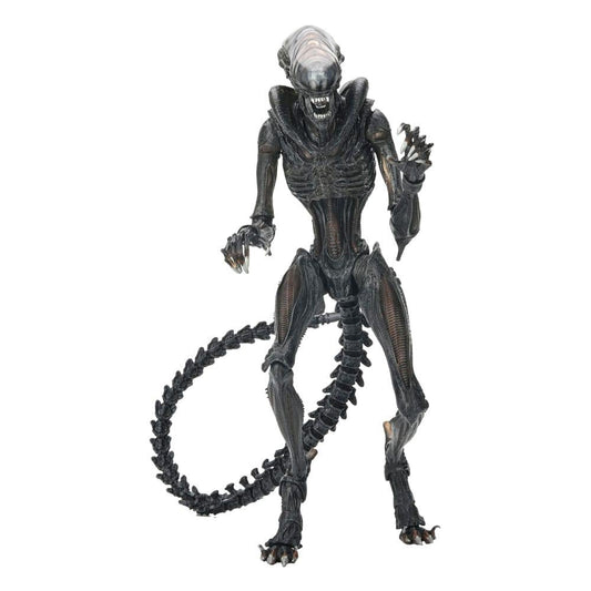 Précommande : ALIEN ROMULUS - Scorched Xenomorph - Ultimate Figurine 18cm