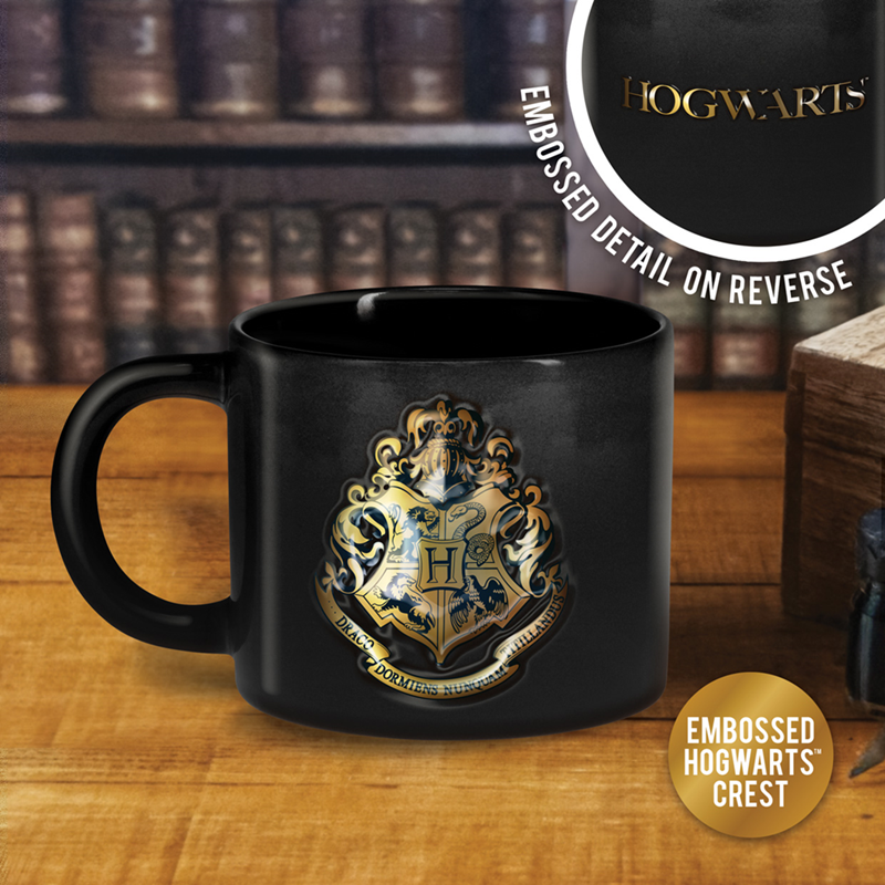 Précommande : HARRY POTTER - Mug Gravé 400ml