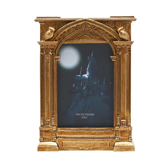 Précommande : HARRY POTTER - Miroir de Rised - Cadre Photo 3D