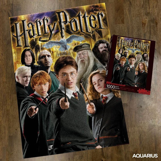 Puzzle 1000 pièces personnages harry potter